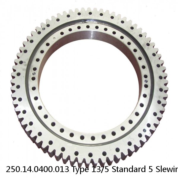 250.14.0400.013 Type 13/5 Standard 5 Slewing Ring Bearings