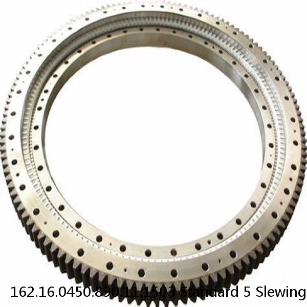 162.16.0450.890.11.1503 Standard 5 Slewing Ring Bearings