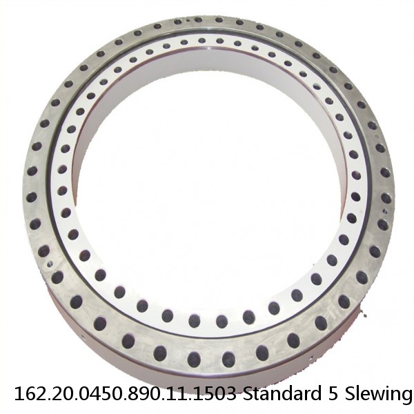 162.20.0450.890.11.1503 Standard 5 Slewing Ring Bearings