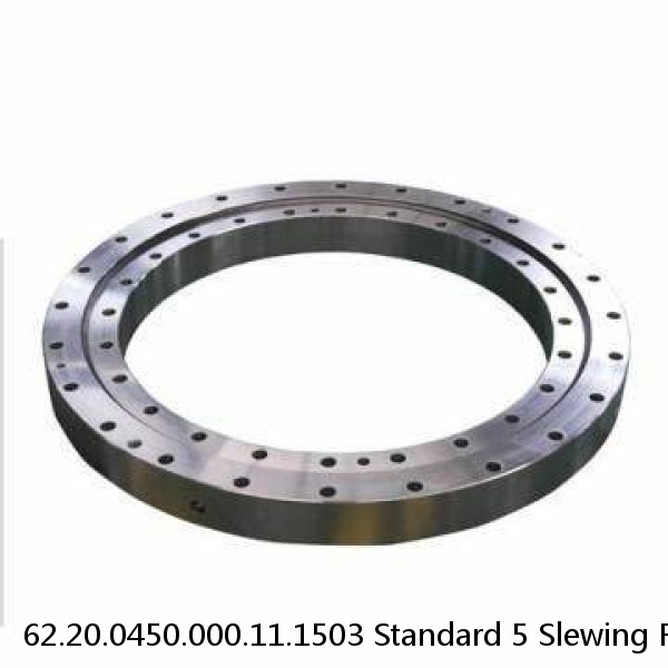 62.20.0450.000.11.1503 Standard 5 Slewing Ring Bearings