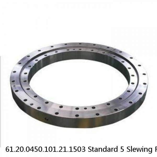 61.20.0450.101.21.1503 Standard 5 Slewing Ring Bearings