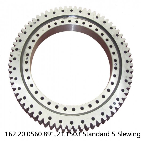 162.20.0560.891.21.1503 Standard 5 Slewing Ring Bearings