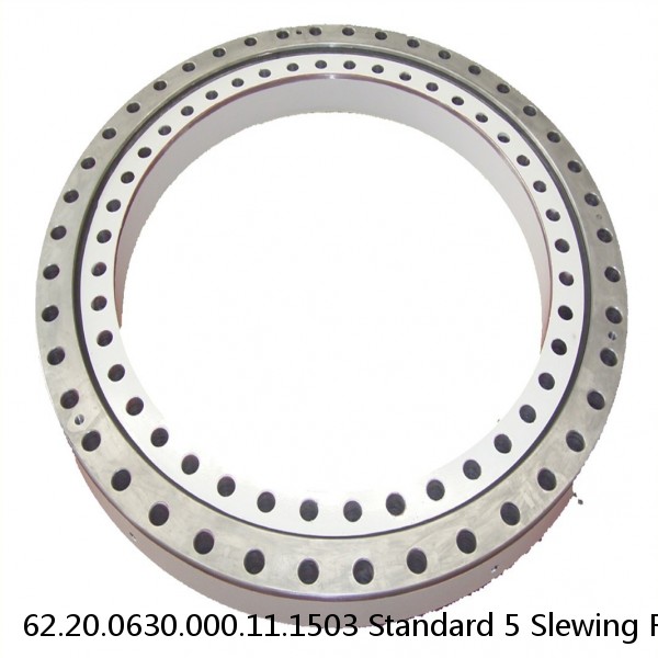 62.20.0630.000.11.1503 Standard 5 Slewing Ring Bearings