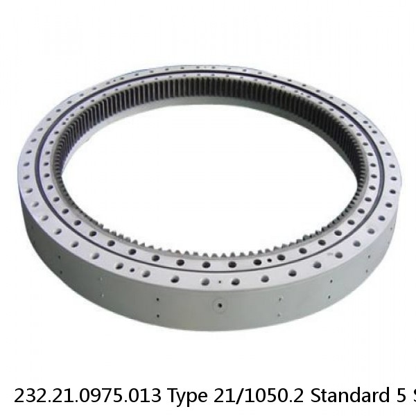 232.21.0975.013 Type 21/1050.2 Standard 5 Slewing Ring Bearings