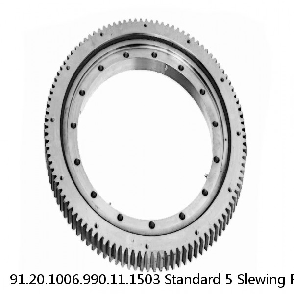 91.20.1006.990.11.1503 Standard 5 Slewing Ring Bearings