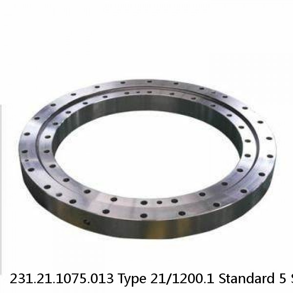 231.21.1075.013 Type 21/1200.1 Standard 5 Slewing Ring Bearings