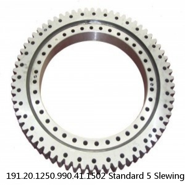 191.20.1250.990.41.1502 Standard 5 Slewing Ring Bearings