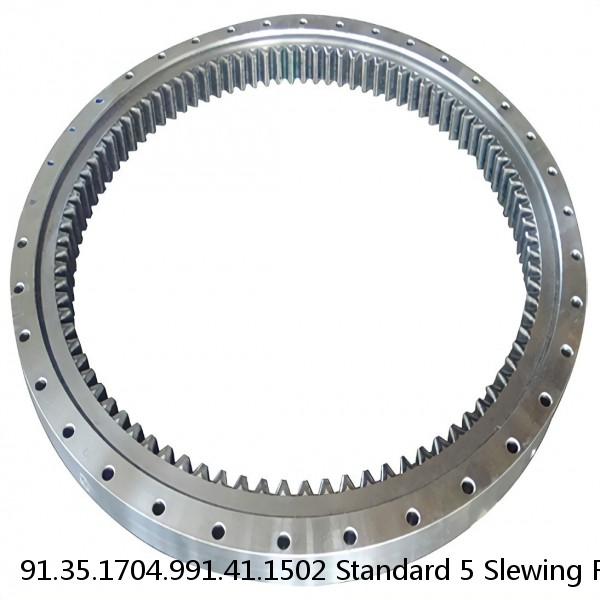 91.35.1704.991.41.1502 Standard 5 Slewing Ring Bearings