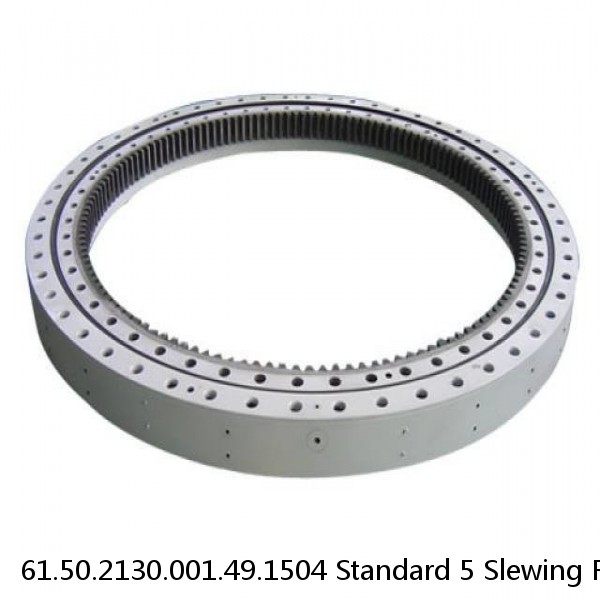 61.50.2130.001.49.1504 Standard 5 Slewing Ring Bearings