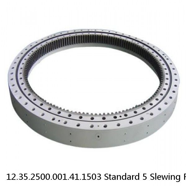 12.35.2500.001.41.1503 Standard 5 Slewing Ring Bearings