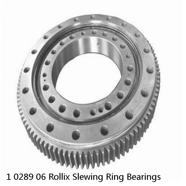 1 0289 06 Rollix Slewing Ring Bearings