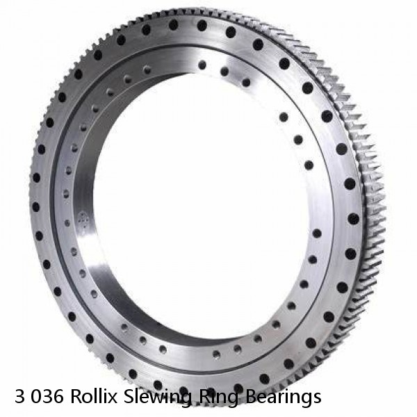 3 036 Rollix Slewing Ring Bearings