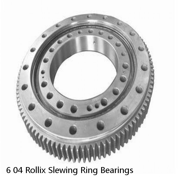 6 04 Rollix Slewing Ring Bearings