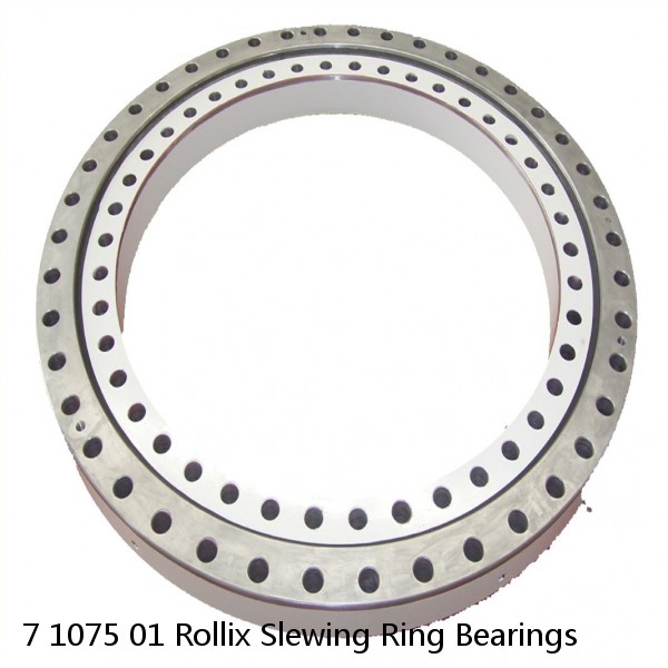 7 1075 01 Rollix Slewing Ring Bearings