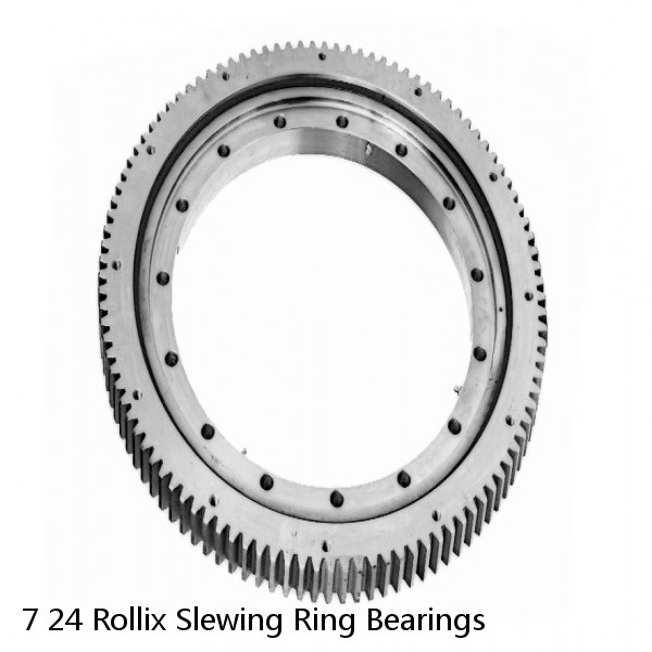 7 24 Rollix Slewing Ring Bearings