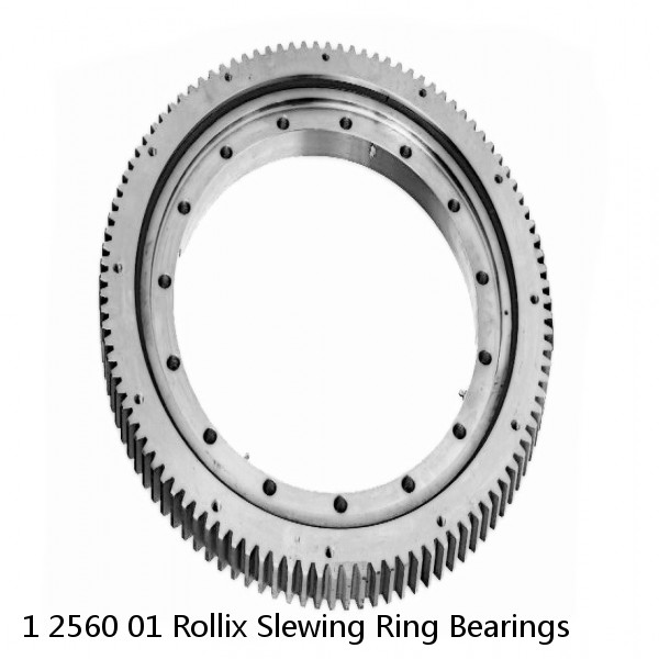 1 2560 01 Rollix Slewing Ring Bearings