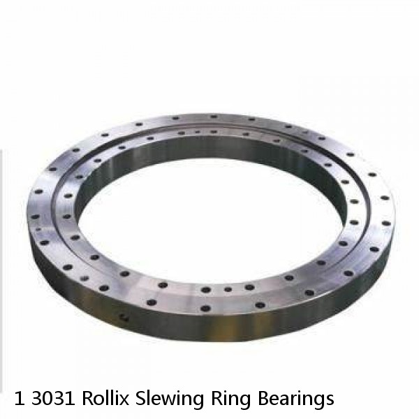 1 3031 Rollix Slewing Ring Bearings