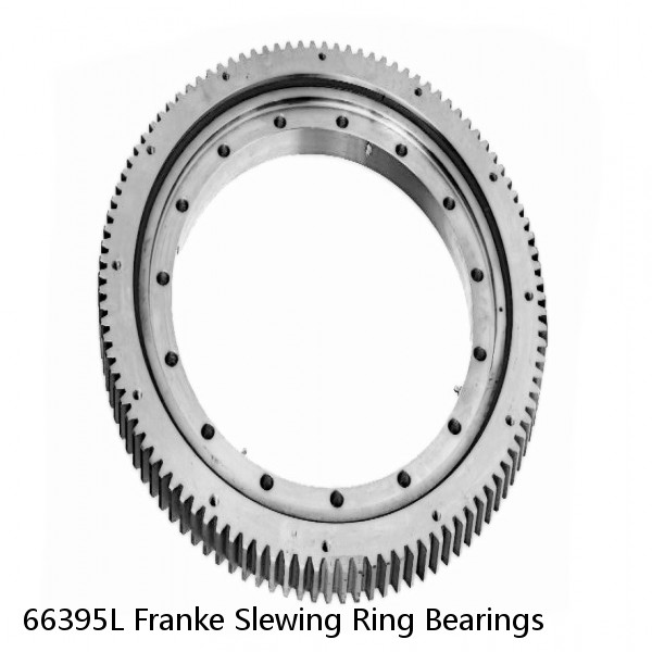 66395L Franke Slewing Ring Bearings