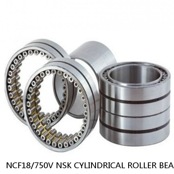 NCF18/750V NSK CYLINDRICAL ROLLER BEARING