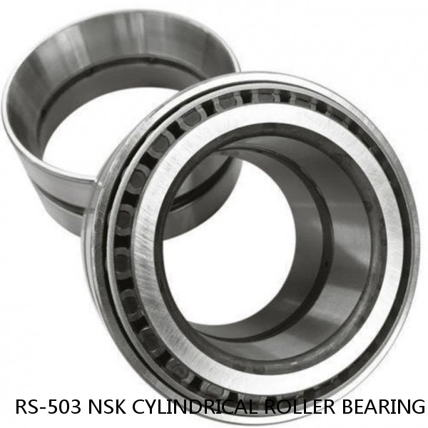 RS-503 NSK CYLINDRICAL ROLLER BEARING