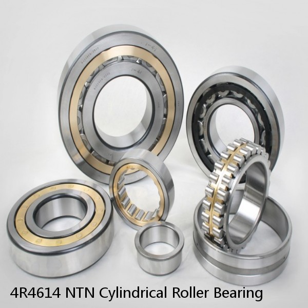 4R4614 NTN Cylindrical Roller Bearing