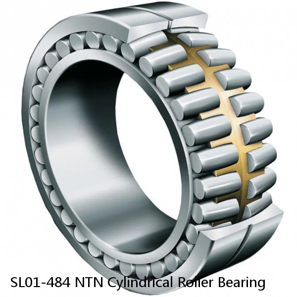 SL01-484 NTN Cylindrical Roller Bearing