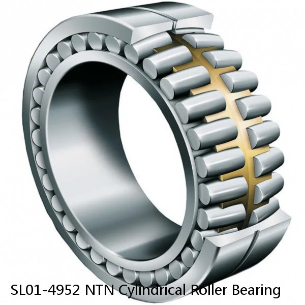 SL01-4952 NTN Cylindrical Roller Bearing