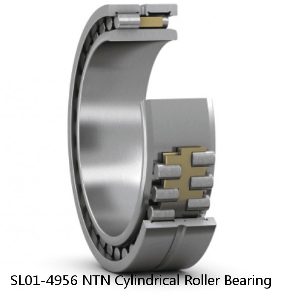 SL01-4956 NTN Cylindrical Roller Bearing