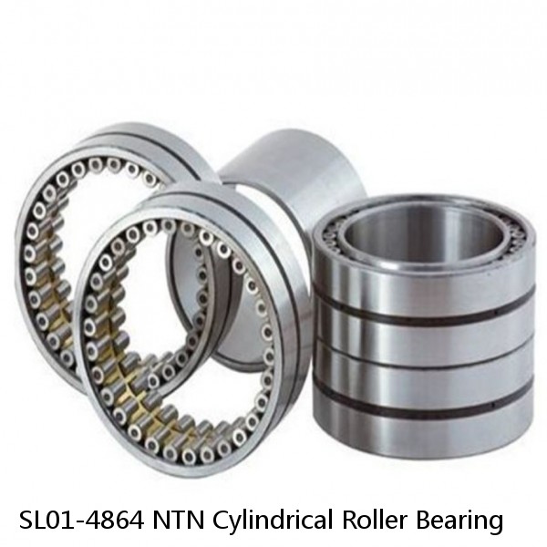 SL01-4864 NTN Cylindrical Roller Bearing