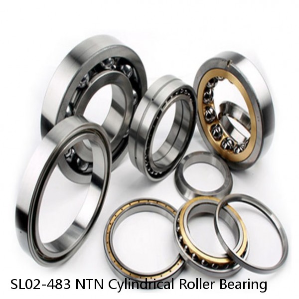 SL02-483 NTN Cylindrical Roller Bearing