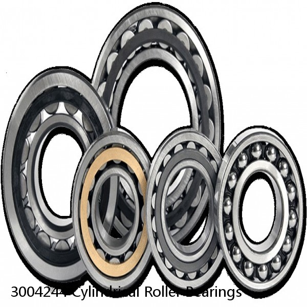 3004244 Cylindrical Roller Bearings