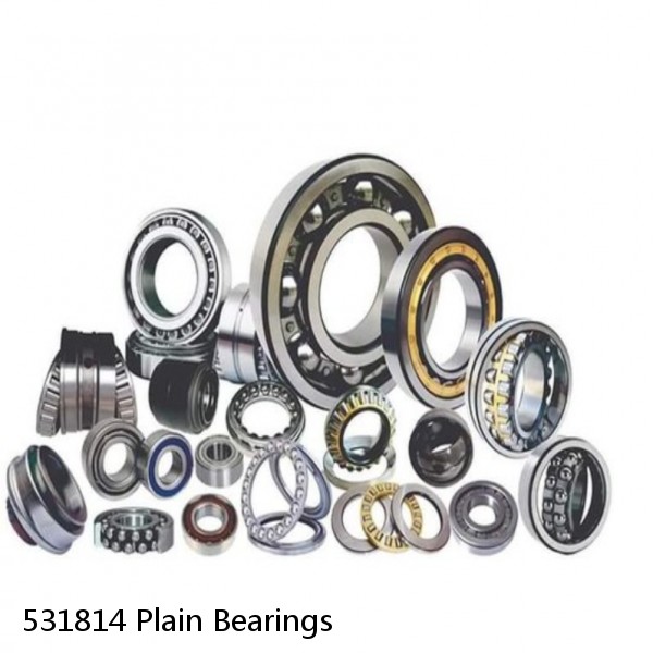 531814 Plain Bearings