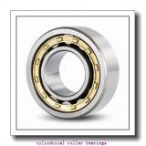 1.378 Inch | 35 Millimeter x 2.835 Inch | 72 Millimeter x 0.669 Inch | 17 Millimeter  LINK BELT MA1207TV  Cylindrical Roller Bearings