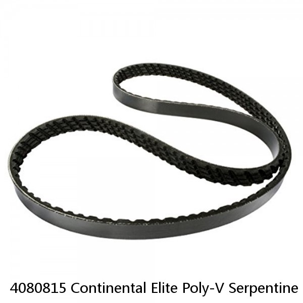 4080815 Continental Elite Poly-V Serpentine Belt Free Shipping 4080815